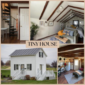 Cozy Tinyhouse Jmudowntown Fire Pit Yard